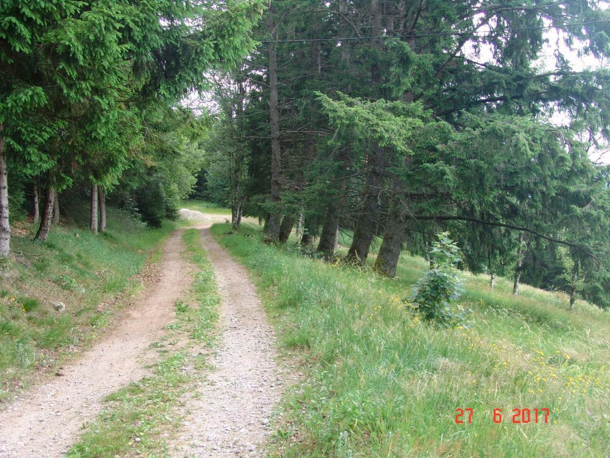 Les O Welches Cote Lac Орбе Екстер'єр фото